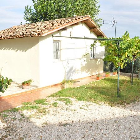 La Vite Sul Tetto Villa Agugliano Ngoại thất bức ảnh