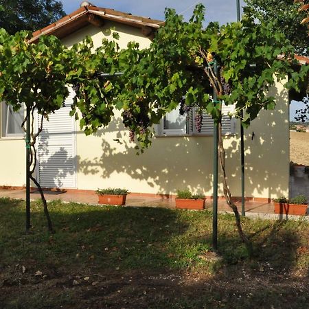 La Vite Sul Tetto Villa Agugliano Ngoại thất bức ảnh