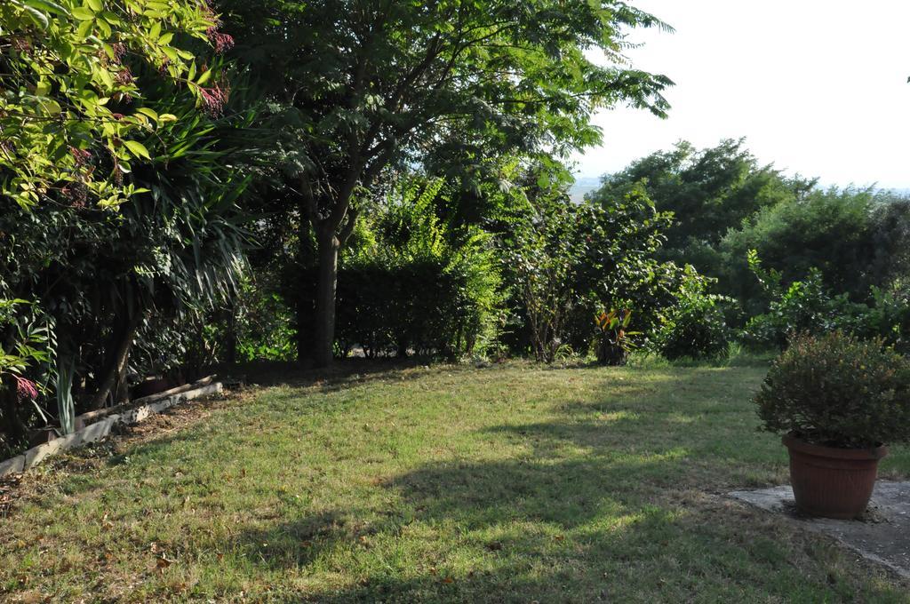 La Vite Sul Tetto Villa Agugliano Ngoại thất bức ảnh