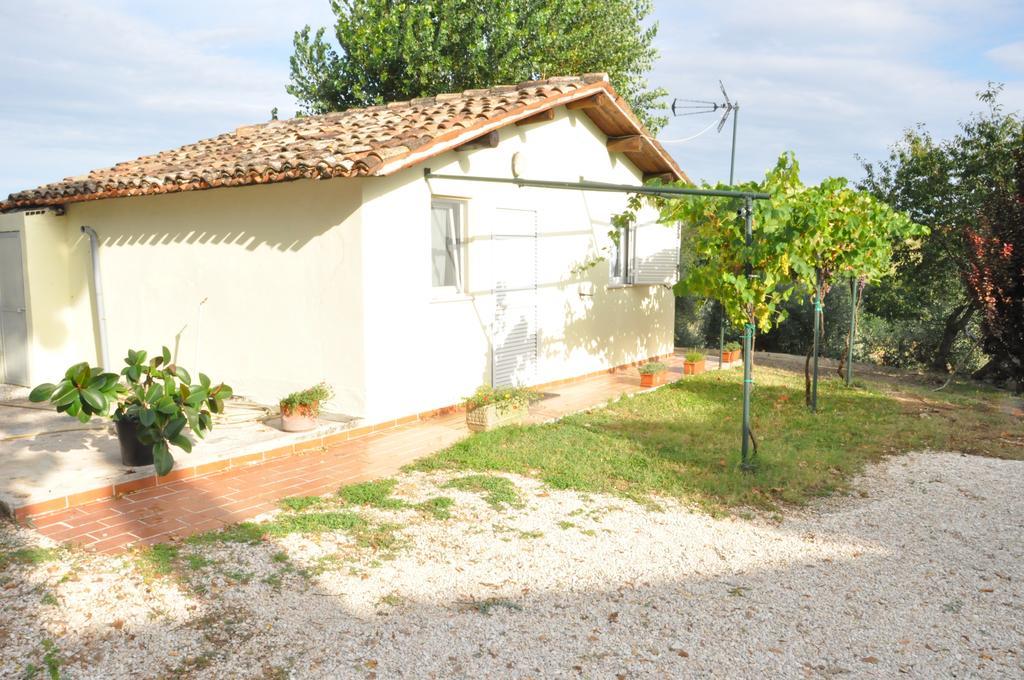 La Vite Sul Tetto Villa Agugliano Ngoại thất bức ảnh