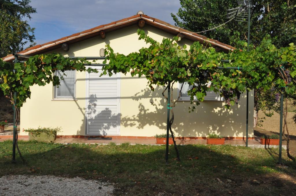 La Vite Sul Tetto Villa Agugliano Ngoại thất bức ảnh