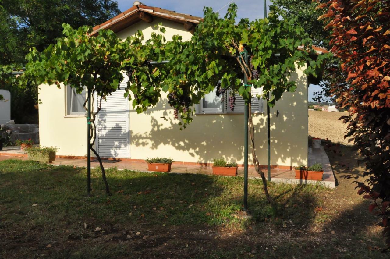 La Vite Sul Tetto Villa Agugliano Ngoại thất bức ảnh